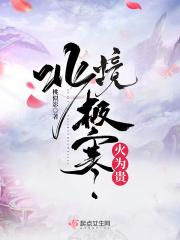 北境寒冰矿