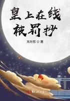 皇上片段