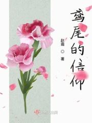 鸢尾poetsch