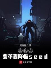 高达之改变的轨迹