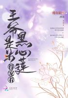 黑心的王爷