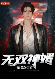 无双无双赘婿