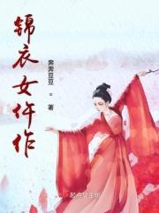 锦衣仵作讲的什么