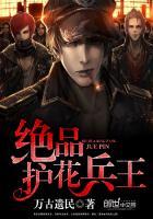 绝品护花兵王陈一飞全文