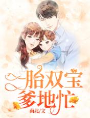 一胎双宝爹地忙的结局
