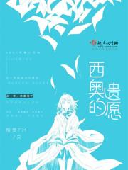 西奥的经历