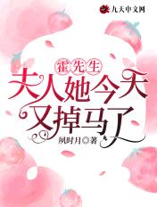 霍先生夫人好孕来