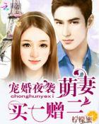 宠妻狂魔嫁一送一