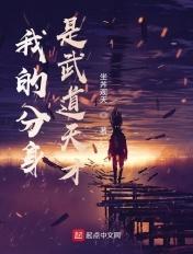 我的分身是天意秦风