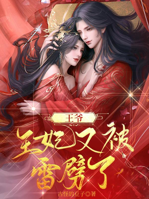 王妃又去打劫