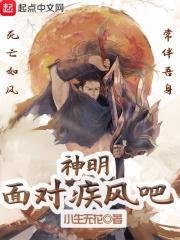 面对疾风吧破解版