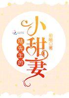 陆先生第一甜免费阅读