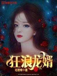 狂浪龙婿莫问