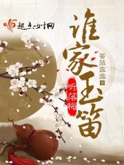 谁家玉笛暗飞声上一句