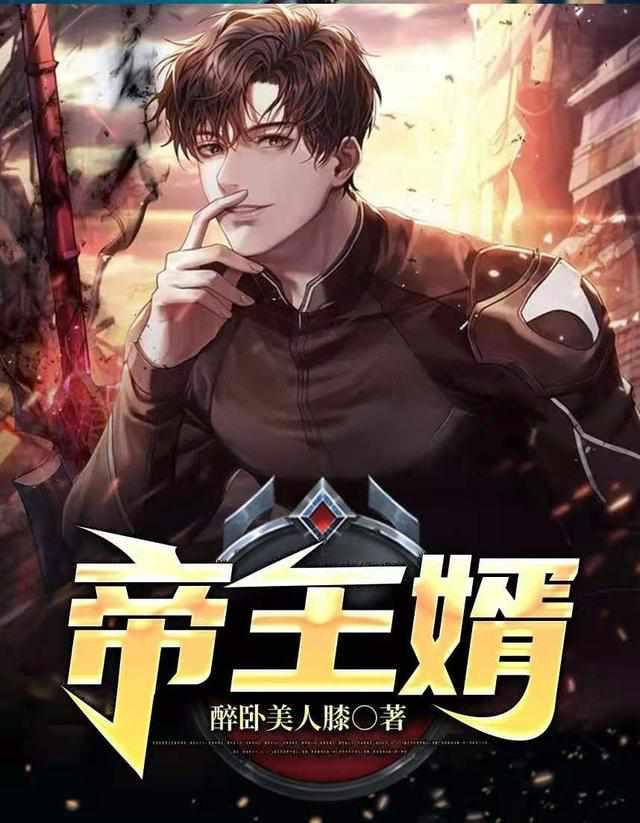 帝王婿萧天路